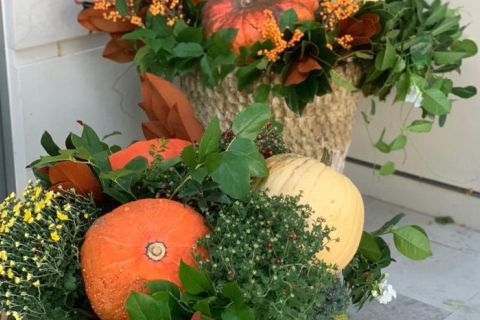 Fall landscaping deals - clean-up, irrigation blow-out, shrub pruning, and holiday decor in Bloomington MN